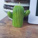 Lumânare cactus
